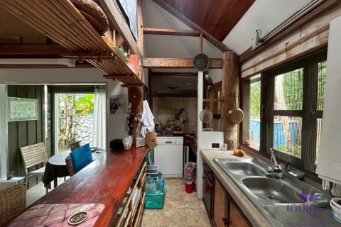 Земельный участок в Чиангмае, Таиланд 160м2  № 149590 - фото 9