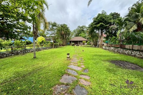 Земельный участок в Чиангмае, Таиланд 160м2  № 149590 - фото 15