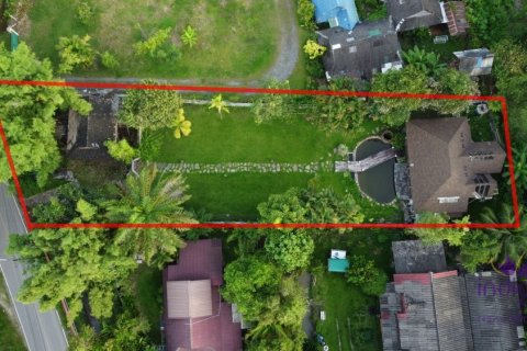 Земельный участок в Чиангмае, Таиланд 160м2  № 149590 - фото 18