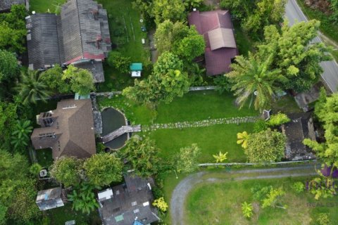 Земельный участок в Чиангмае, Таиланд 160м2  № 149590 - фото 25