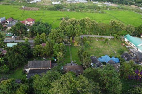 Земельный участок в Чиангмае, Таиланд 160м2  № 149590 - фото 23