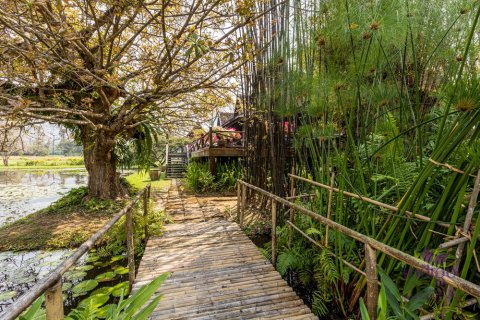 Maison à Chiang Mai, Thaïlande 3 chambres № 149585 - photo 29