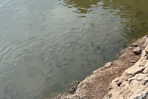 Вилла в Удонтхани, Таиланд с 3 спальнями  № 153206 - фото 30