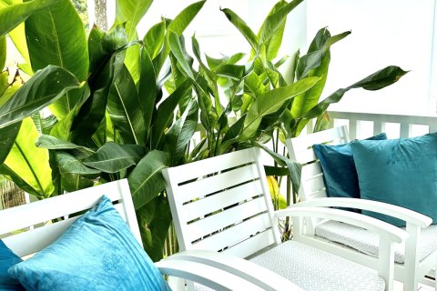 Studio in Phuket, Thailand № 153207 - photo 6