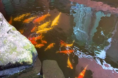 Villa in Khlong Sam Wa, Bangkok, Thailand 4 bedrooms № 160262 - photo 17