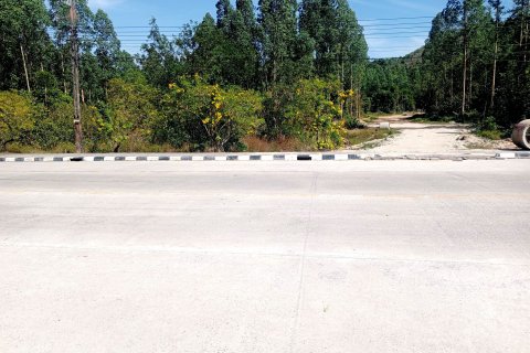 Land in Phuket, Thailand 17248 sq.m. № 160385 - photo 4