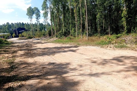 Land in Phuket, Thailand 17248 sq.m. № 160385 - photo 6