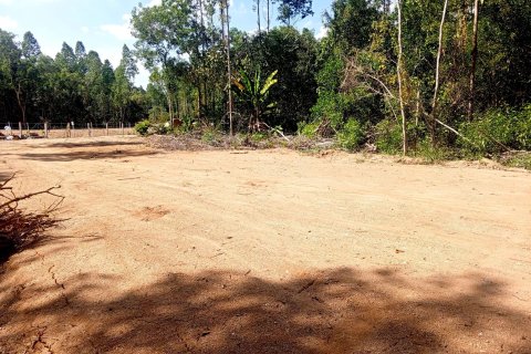 Land in Phuket, Thailand 17248 sq.m. № 160385 - photo 5
