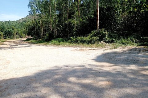 Land in Phuket, Thailand 17248 sq.m. № 160385 - photo 7