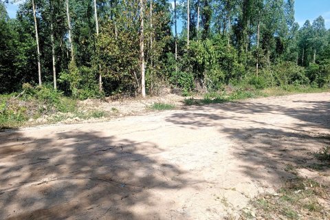 Land in Phuket, Thailand 17248 sq.m. № 160385 - photo 8