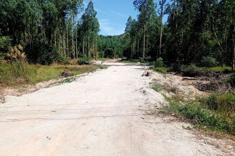 Land in Phuket, Thailand 17248 sq.m. № 160385 - photo 3