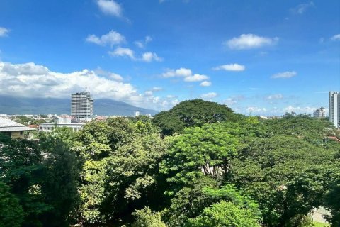 Кондоминиум с 3 спальнями в Чиангмае, Таиланд № 137401 - фото 15