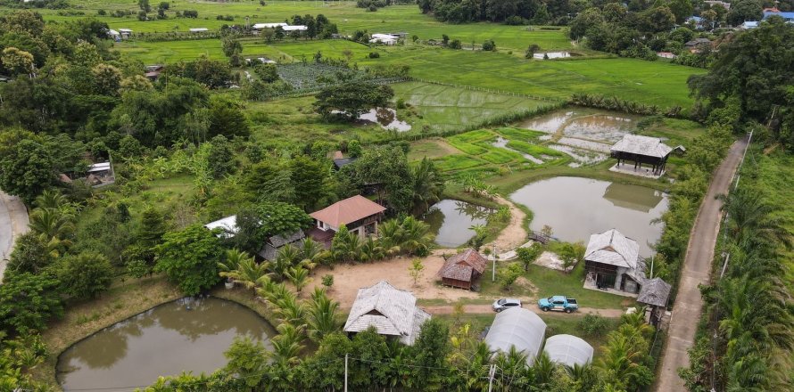 House in Chiang Mai, Thailand 5 bedrooms № 155399