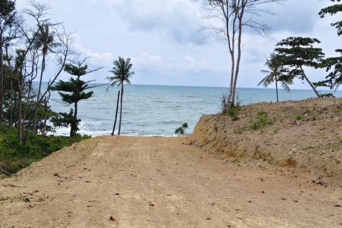 Land in Ko Lanta Yai, Thailand 86400 sq.m. № 163199 - photo 4