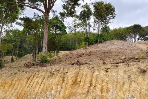 Land in Ko Lanta Yai, Thailand 86400 sq.m. № 163199 - photo 7