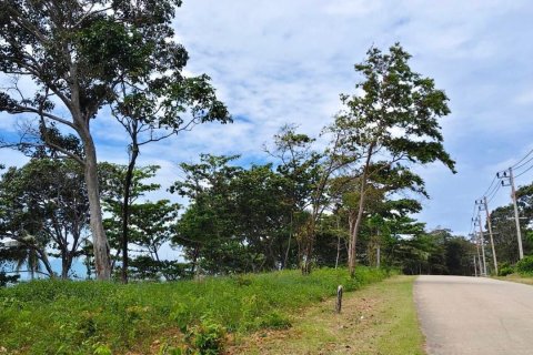 Land in Ko Lanta Yai, Thailand 86400 sq.m. № 163199 - photo 10