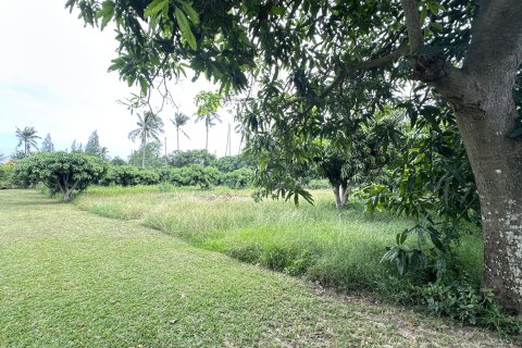 Land in Hua Hin, Thailand 4000 sq.m. № 163202 - photo 7