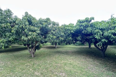 Land in Hua Hin, Thailand 4000 sq.m. № 163202 - photo 2