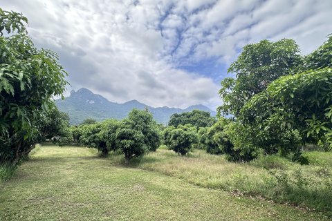 Land in Hua Hin, Thailand 4000 sq.m. № 163202 - photo 13