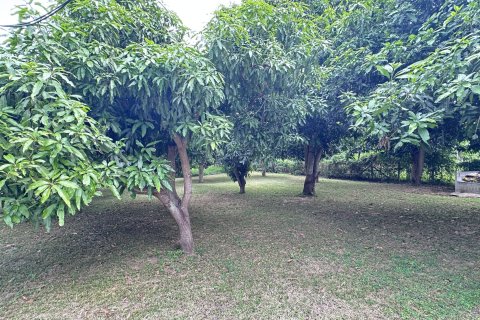 Land in Hua Hin, Thailand 4000 sq.m. № 163202