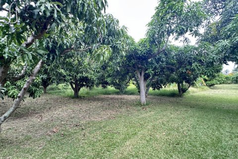 Land in Hua Hin, Thailand 4000 sq.m. № 163202 - photo 6