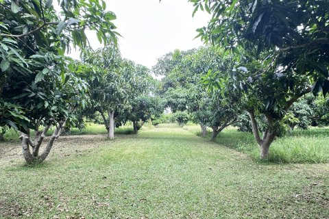 Land in Hua Hin, Thailand 4000 sq.m. № 163202 - photo 5