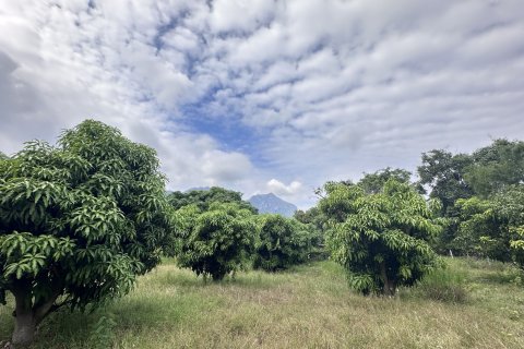 Land in Hua Hin, Thailand 4000 sq.m. № 163202 - photo 9