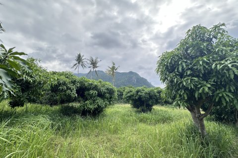 Land in Hua Hin, Thailand 4000 sq.m. № 163202 - photo 12