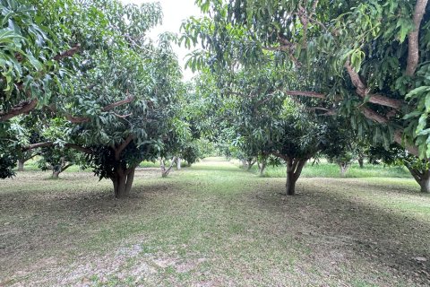 Land in Hua Hin, Thailand 4000 sq.m. № 163202 - photo 4