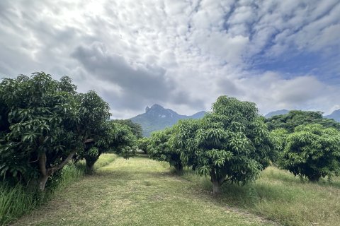 Land in Hua Hin, Thailand 4000 sq.m. № 163202 - photo 10