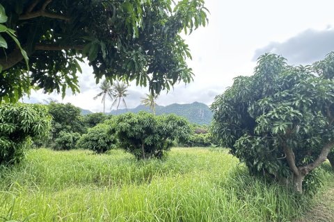 Land in Hua Hin, Thailand 4000 sq.m. № 163202 - photo 11