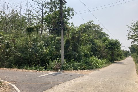Terrain à Phra Nakhon Si Ayutthaya, Thaïlande 30400 m2 № 164713 - photo 4