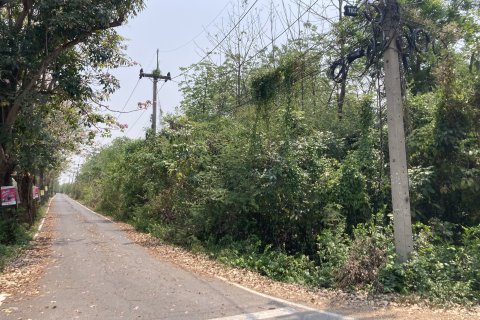 Terrain à Phra Nakhon Si Ayutthaya, Thaïlande 30400 m2 № 164713 - photo 5