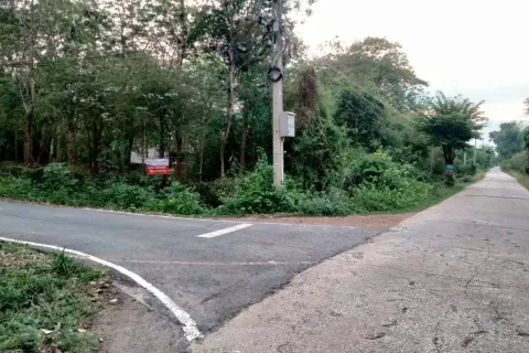 Terrain à Phra Nakhon Si Ayutthaya, Thaïlande 30400 m2 № 164713 - photo 2