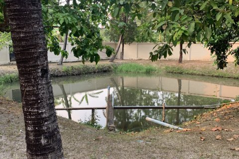 Вилла в Чианграе, Таиланд с 4 спальнями  № 154297 - фото 9