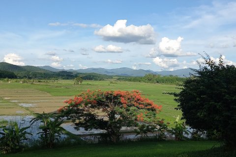 Дом в Чианграе, Таиланд с 5 спальнями  № 139752 - фото 5