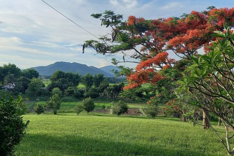 Дом в Чианграе, Таиланд с 5 спальнями  № 139752 - фото 9
