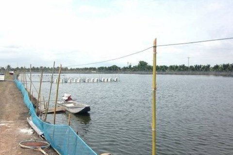 Земельный участок в Пхотхараме, Таиланд 99348м2  № 159575 - фото 2