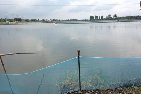 Земельный участок в Пхотхараме, Таиланд 99348м2  № 159575 - фото 3