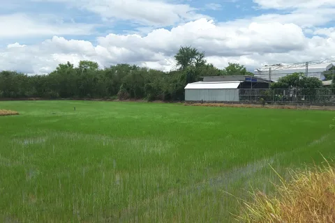 Земельный участок в Сам Пхране, Таиланд 1232м2  № 159579 - фото 2
