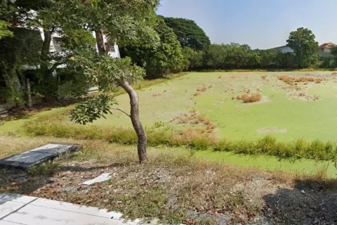 Земельный участок в Сам Пхране, Таиланд 1232м2  № 159579 - фото 5