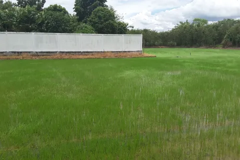 Земельный участок в Сам Пхране, Таиланд 1232м2  № 159579 - фото 1