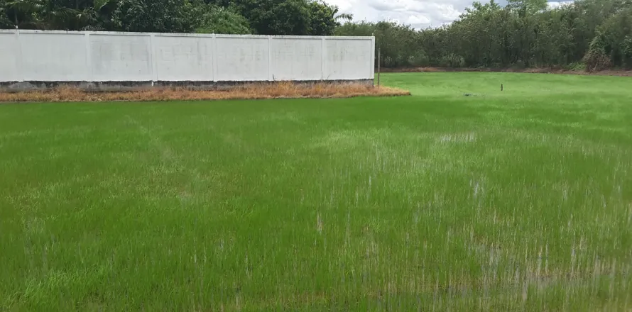 Земельный участок в Сам Пхране, Таиланд 1232м2  № 159579