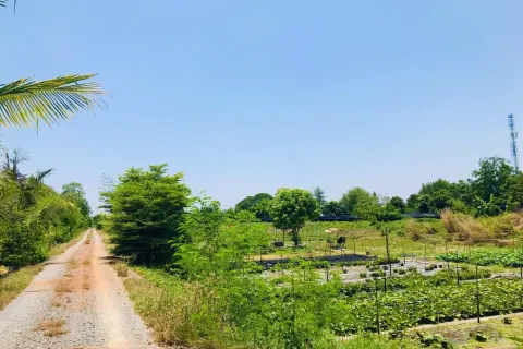 Terrain à Bang Yai, Thaïlande 14400 m2 № 159574 - photo 5