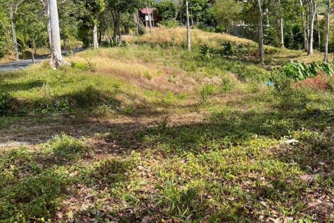 Земельный участок в Пхукете, Таиланд 10011.2м2 № 139156 - фото 4