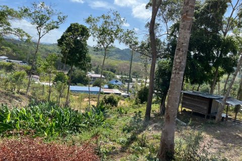 Земельный участок в Пхукете, Таиланд 10011.2м2 № 139156 - фото 3