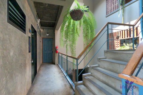 Коммерческая недвижимость в Чиангмае, Таиланд 505м2  № 162586 - фото 11