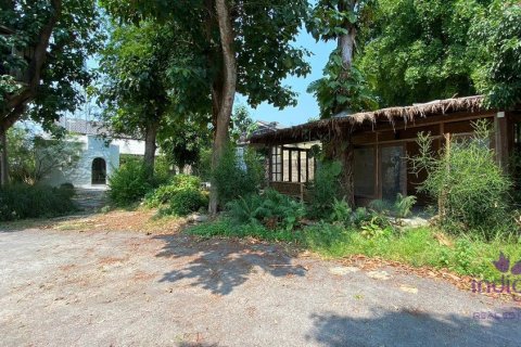 Коммерческая недвижимость в Чиангмае, Таиланд № 162583 - фото 3