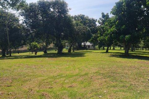 Terrain à Chiang Rai, Thaïlande 1600 m2 № 156490 - photo 7