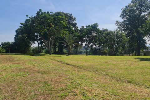 Terrain à Chiang Rai, Thaïlande 1600 m2 № 156490